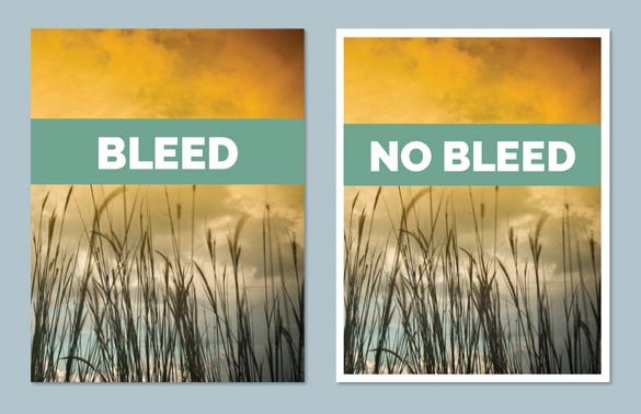 full-page-bleed-new